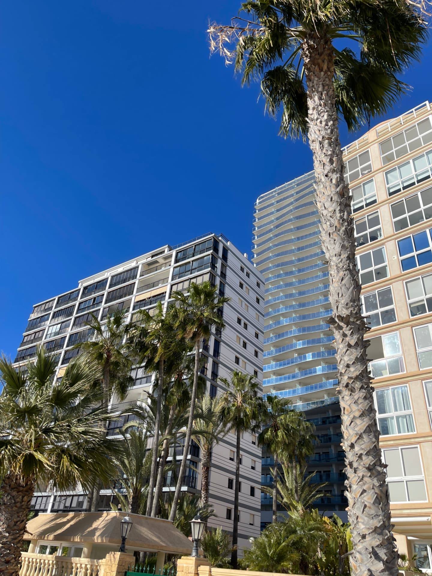 Palm trees and modern buildings under a clear sky